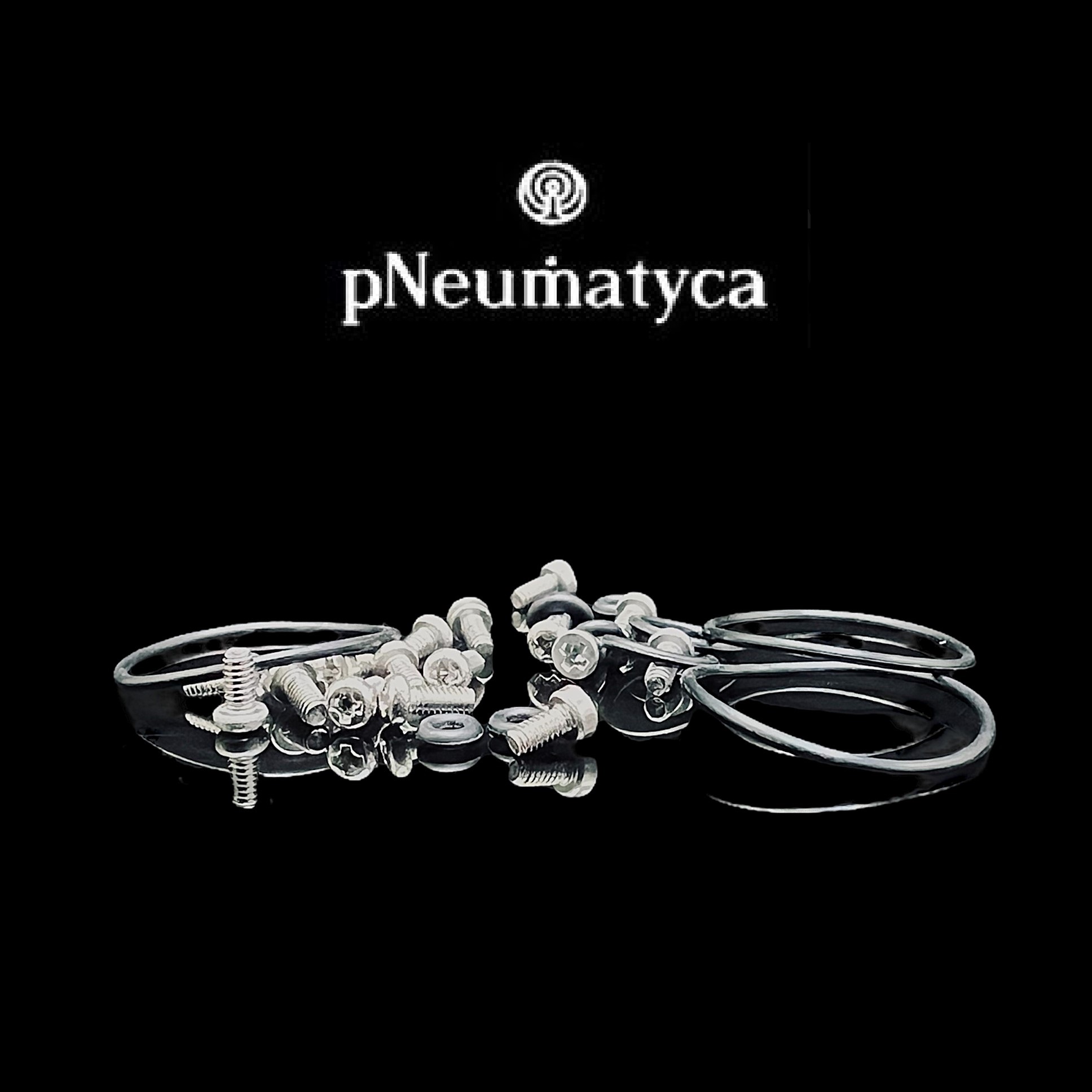 pNneumatyca RTA Spare Parts Kit - SightPic